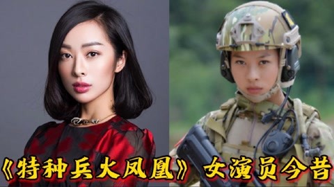 特种兵之火凤凰女演员今昔,谭晓琳胖了,田果欧阳倩美的不敢认!