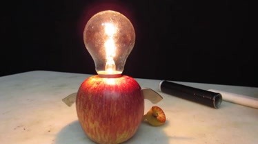 苹果发电,会亮的小灯泡,简单操作!