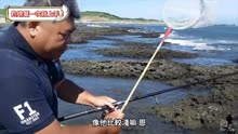 鱼钓不到只能钓螃蟹了，第一次尝试，收获有点出人意料！