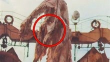 1977年日本“瑞洋丸事件”的真相，照片最清晰的未知生物！