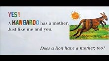 【0-6岁绘本】Does a kangaroo have a mother too袋鼠有妈妈吗？