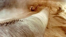 电影《沙丘》，沙漠中隐藏着一种神秘的巨型沙虫，一口将人吃掉！