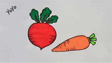 红萝卜和胡萝卜简笔画