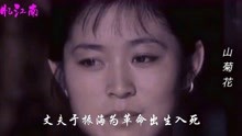 《山菊花》，同名电影插曲，周灵燕张瑜玲演唱，经典红色歌曲！