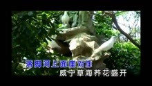 [图]奢香夫人 - 凤凰传奇