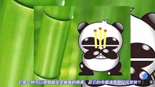 当年研发了熊猫烧香病毒的李俊，为何在出狱4年后，又被抓了？