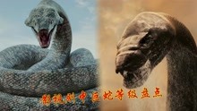 电影中四版大蛇等级对比，狂蟒之灾就是弟弟，最强王者在中国