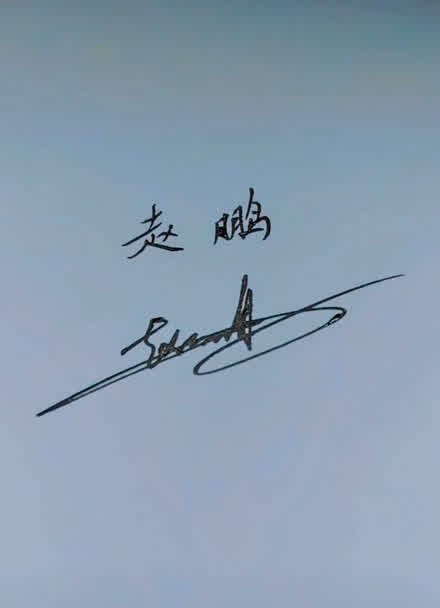 赵鹏飞艺术签名图片
