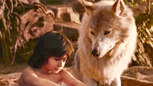 男孩被狼王收养长大，和狼崽一起玩，最后还当上森林之王