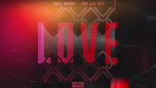 这Remix太厉害了吧！！电音制作人Swede Harmony新单“Love” JLV混音版试听大首播..