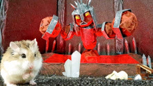 仓鼠表演：小仓鼠在神秘的火山密室寻宝，遇见恐怖的麦克斯博士！