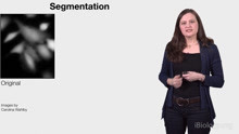Bioimage Analysis 3 Segmentation (Anne Carpenter)