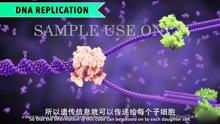 [图]《生物自习室》第8期：细胞分裂概述