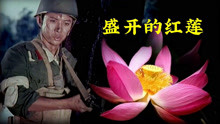 对越反击战红歌经典《盛开的红莲》晓月演唱，深情感人，太好听了