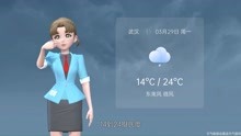 武汉市2021年3月29日天气预报