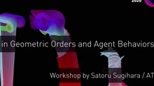 [Digest ver] Hierarchy in Geometric Orders and Agent Behaviors Workshop Final Wo