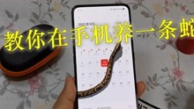 教你在手机养一条蛇，打开什么页面它都会出现，蛇的类型也能选