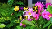 [图]《春光美》 张德兰