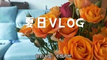 [图]夏日vlog/我们不必停下脚步/人生不必太用力/坦率地接受每一天