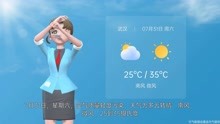 武汉市2021年7月30日天气预报