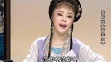 黄梅戏《孟姜女》11：孟姜女哭城，表演：李文