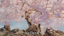 【花间新娘】发布最新预告 黄圣池✘郑合惠子