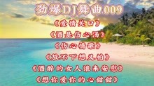 [图]劲爆DJ舞曲009《爱情关口》《酒是伤心汤》《伤心情歌》