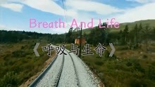 纯音乐-Breath And Life《呼吸与生命》