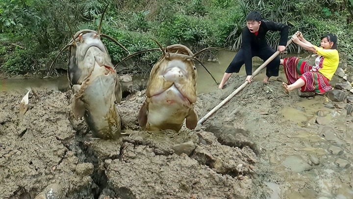 莲莲和潘潘夫妻去河边抓野，大鱼不断从泥巴里冒出来，抓的真过瘾