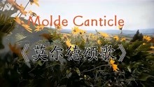 [图]纯音乐-Molde Canticle《莫尔德颂歌》