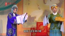 原生态豫剧《穆桂英挂帅》，经典的观印一折，岳枫饰演佘老太君！