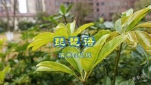 [图]经典纯音乐《琵琶语》赵聪-天籁之音，一曲琵琶语，悠悠相思情