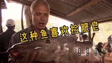 [图]刚果河水妖：喜欢吃肥皂的怪鱼，化身水妖把渔民拉下水！