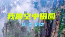 段勇与彭长太合作发布新歌《我的空中田园》听的让人心动