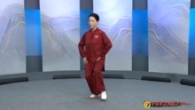3、杨静《杨氏40式太极拳竞赛套路》步型步法