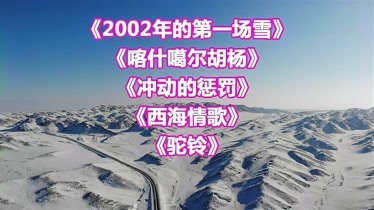 刀郎2002年的第一場雪喀什噶爾胡楊衝動的懲罰西海情歌