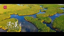 那拉提湿地公园美如画 在微博云逛新疆   新疆是个好地方  那拉提国家湿地公园景区位于伊犁哈萨克自治州新源县肖尔布拉克镇境内，以河流、沼泽、湖泊、草甸等景观类型为基础，以“芦苇深花里，鱼歌湿地廊”为游览主题，是一处集湿地生态观光、湿地科普宣教、滨水休闲度假、湿地文化体验四大功能于一体的国家级湿地公园。