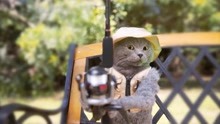 喜剧：猫咪参加钓鱼大赛，想要拿冠军，谁知自己却被钓走了