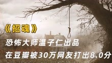 恐怖大师温子仁出品《招魂》，被30万网友打出恐怖片中逆天8.0分