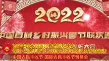 [图]「视」首届乡村振兴春节联欢晚会 农民丰收节-万祥军：2022礼赞乡村