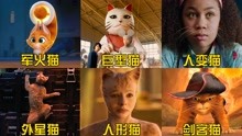 盘点电影中六只奇葩猫，你觉得哪个更厉害？猫咪竟是移动的军火库