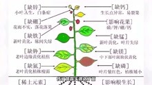 [图]堪舆学“苗引探矿”理论在近代探矿中的应用