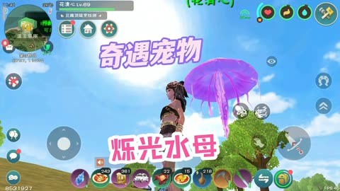 创造与魔法水母图片