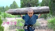 河南三岁小萌娃拜师少林寺，苦练武术和王宝强切磋，高手在民间！