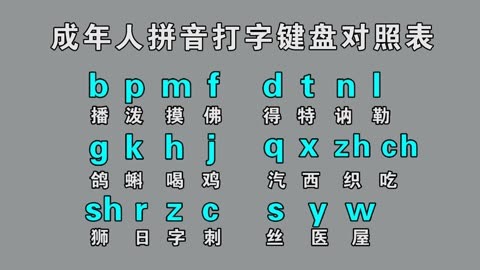 简单好学的汉语拼音打字,学好拼音声母表,韵母,整体认读音节