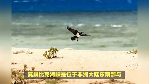 世界上最长的海峡——莫桑比克海峡