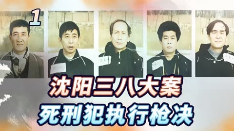 沈阳三八大案5人简介图片