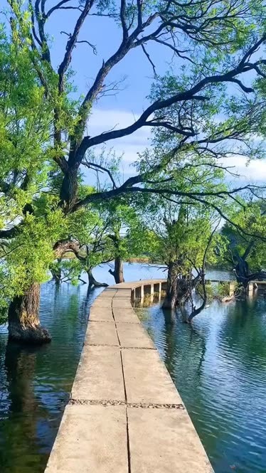 美丽的风景