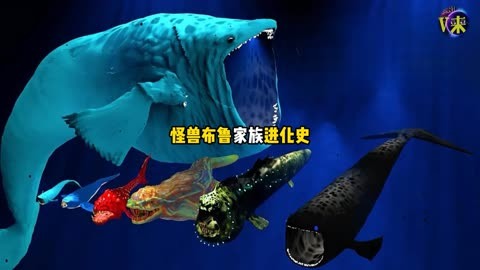 海洋怪兽布鲁家族进化史