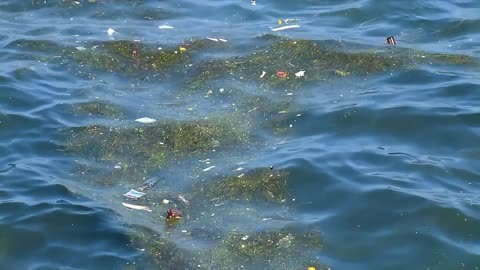 海洋污染加剧,海水净化技术成人类救命稻草